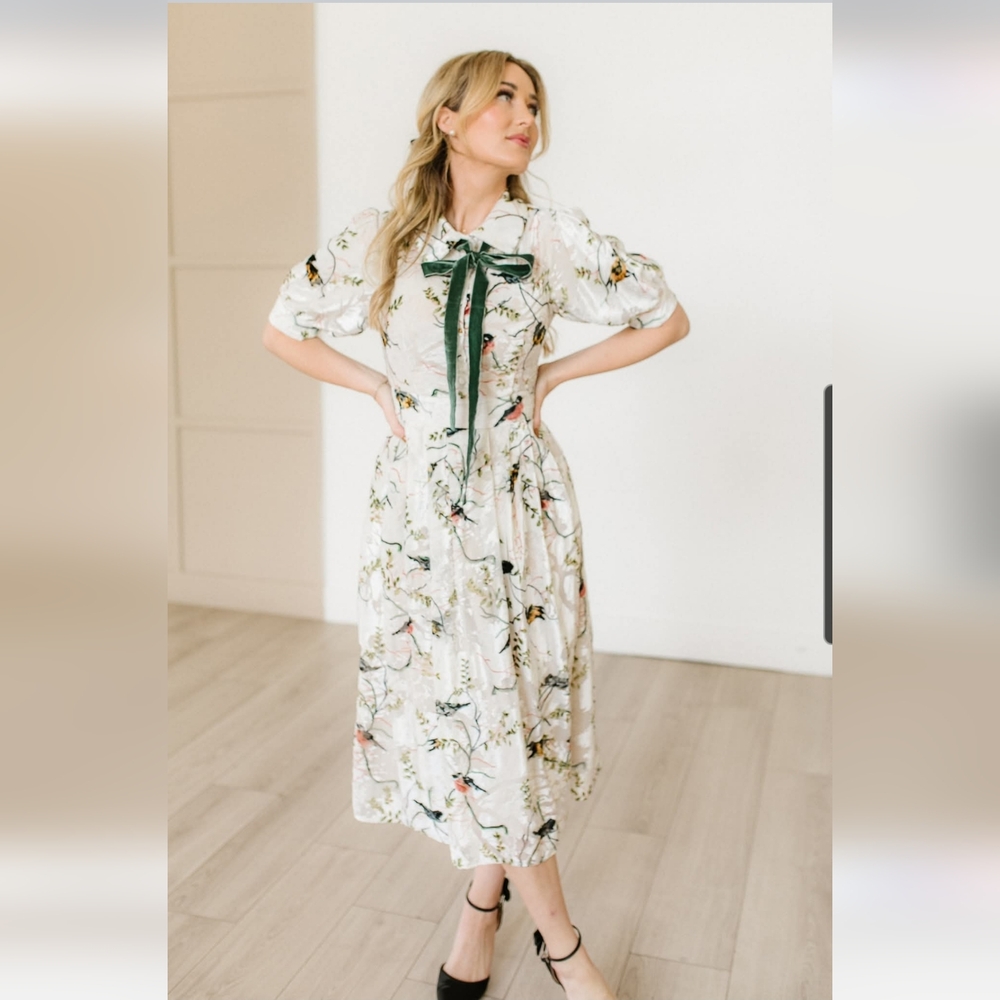 Ivy City Co. Embossed Velvet Burnout Bird Print Delaney Dress Sz.1X